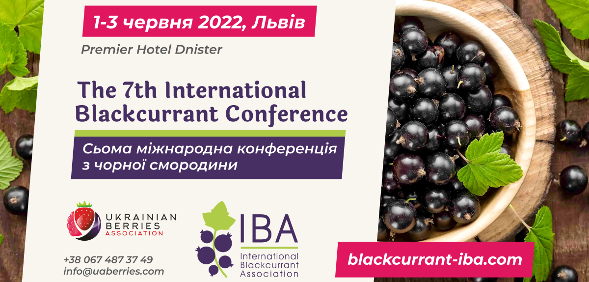 Сьома міжнародна конференція з чорної смородини 2022 
